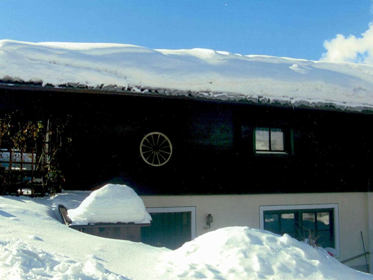 Chalet In Leogang Salzburg With Garden エクステリア 写真